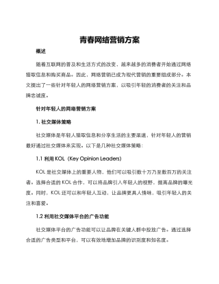 青春网络营销方案