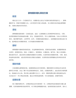 静物摄影婚礼策划方案