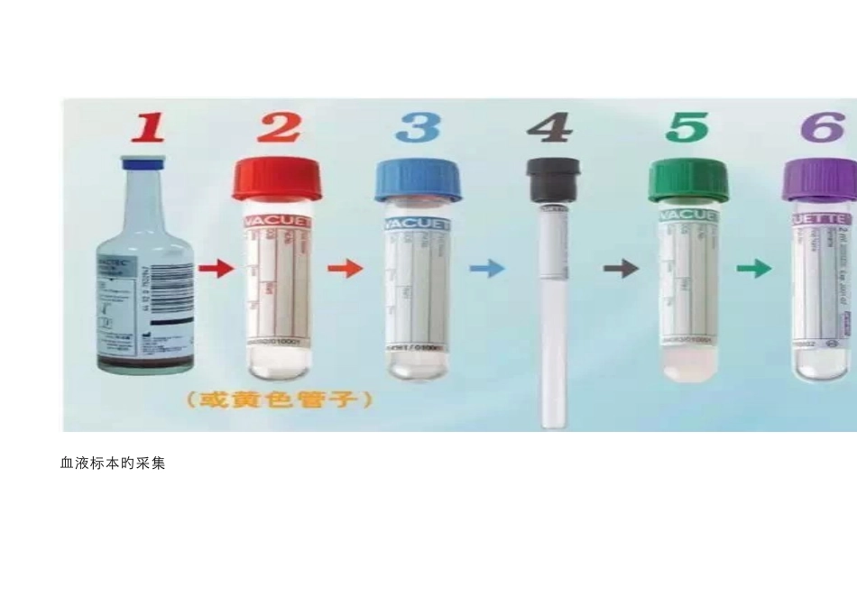 静脉血标本采集顺序_第2页