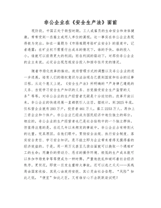 非公企业在《安全生产法》面前