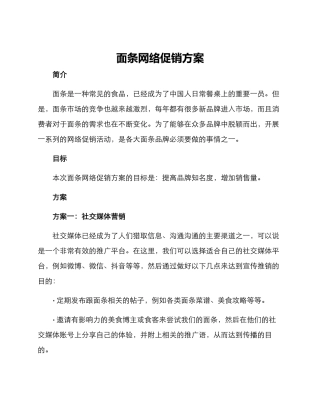 面条网络促销方案
