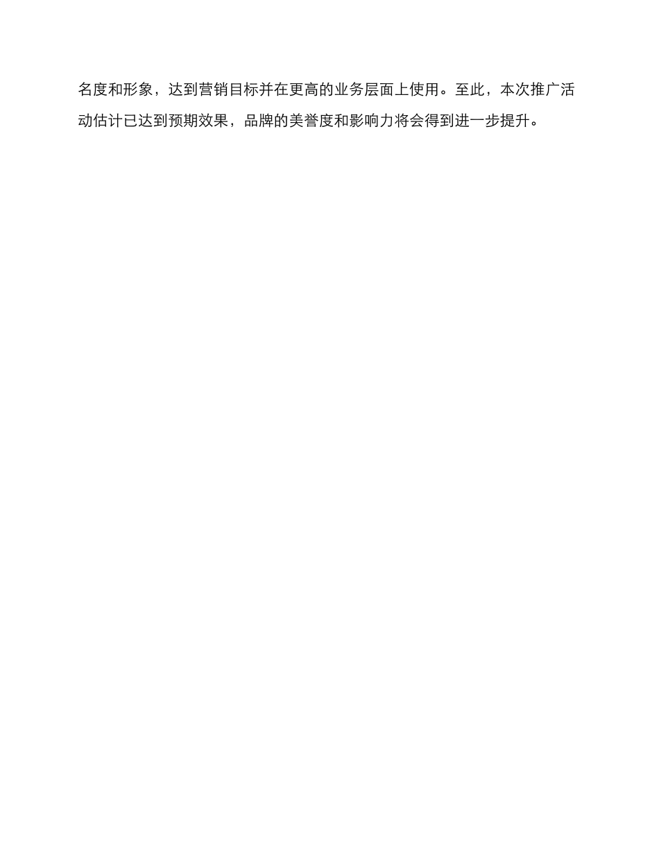 面膜广告策划方案_第3页