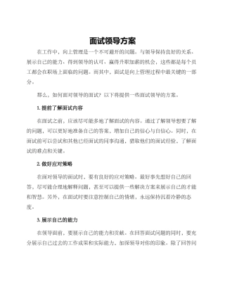 面试领导方案