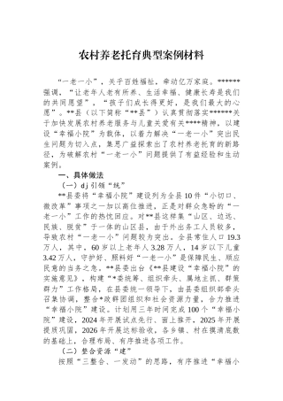 农村养老托育典型案例材料