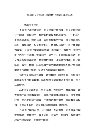领导班子和领导干部考核（考察）评价用语