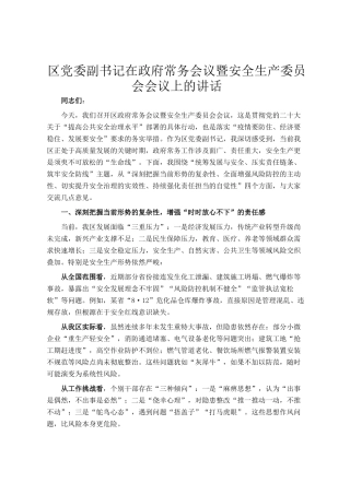 区党委副书记在政府常务会议暨安全生产委员会会议上的讲话