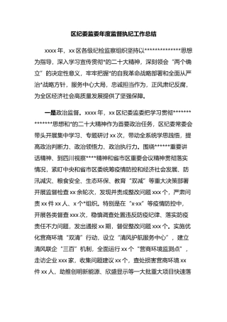 区纪委监委年度监督执纪工作总结