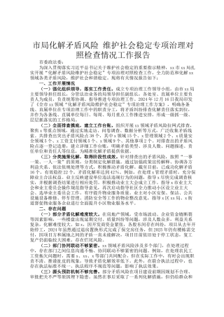 市局化解矛盾风险 维护社会稳定专项治理对照检查情况工作报告