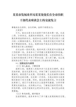 某某市发展改革局某某处处长在全市挂职干部代表座谈会上的交流发言