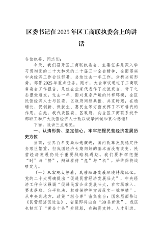 区委书记在2025年区工商联执委会上的讲话