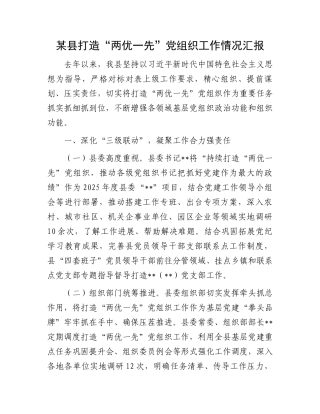 某县打造“两优一先”党组织工作情况汇报