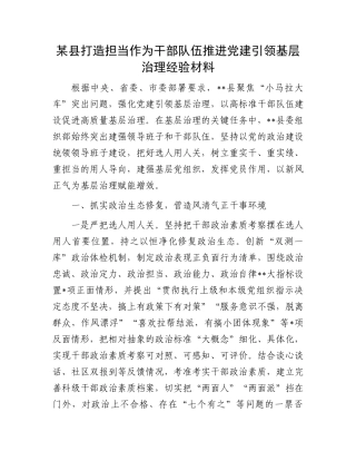 某县打造担当作为干部队伍推进党建引领基层治理经验材料