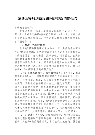某县公安局巡察反馈问题整改情况报告