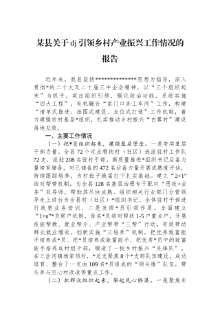 某县关于党建引领乡村产业振兴工作情况的报告