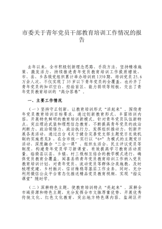 市委关于青年党员干部教育培训工作情况的报告