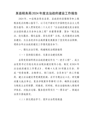 某县税务局2024年度法治政府建设工作报告