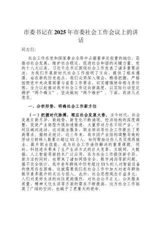 市委书记在2025年市委社会工作会议上的讲话