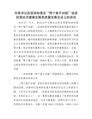 市委书记在坚持和落实“两个毫不动摇”促进民营经济健康发展高质量发展会议上的讲话