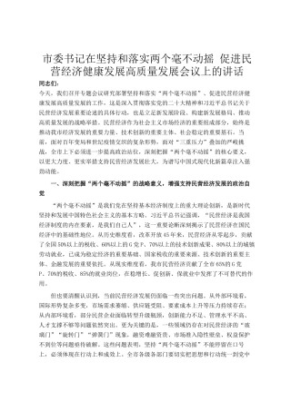 市委书记在坚持和落实两个毫不动摇 促进民营经济健康发展高质量发展会议上的讲话