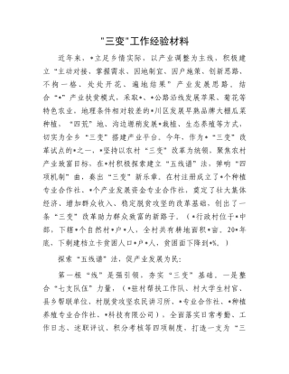 三变工作经验材料