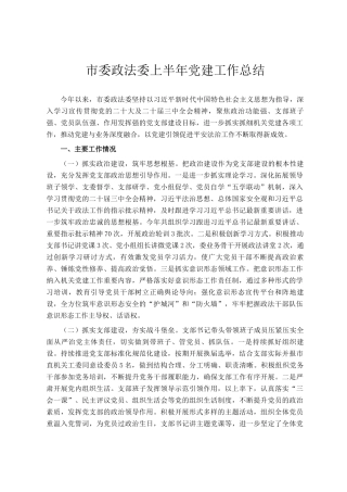 市委政法委上半年党建工作总结