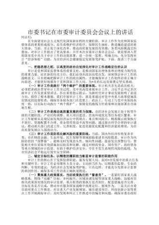 市委书记在市委审计委员会会议上的讲话