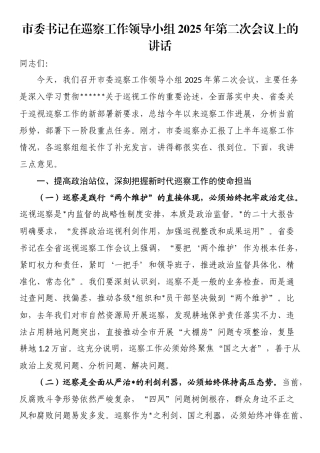 市委书记在巡察工作领导小组2025年第二次会议上的讲话