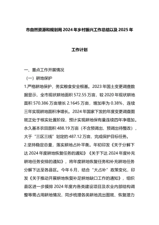 市自然资源和规划局2024年乡村振兴工作总结以及2025年工作计划