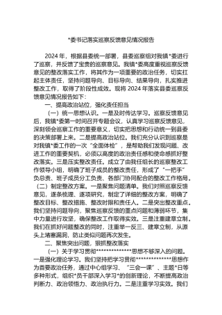 书记落实巡察反馈意见情况报告