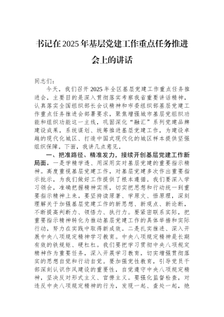 书记在2025年基层党建工作重点任务推进会上的讲话