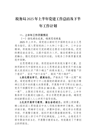 税务局2025年上半年党建工作总结及下半年工作计划