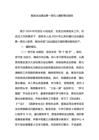推进法治建设第一责任人履职情况报告