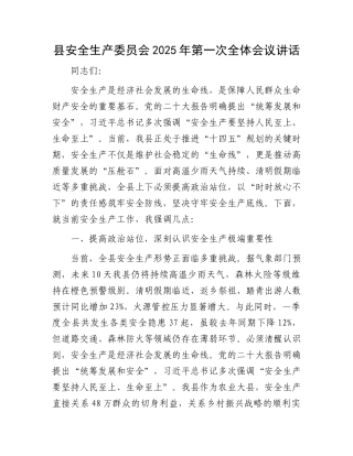 县安全生产委员会2025年第一次全体会议讲话