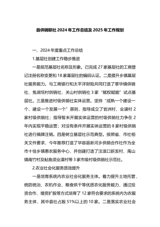 县供销联社2024年工作总结及2025年工作规划