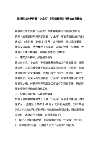 县供销社关于开展“小金库”专项清理整治行动的自查报告