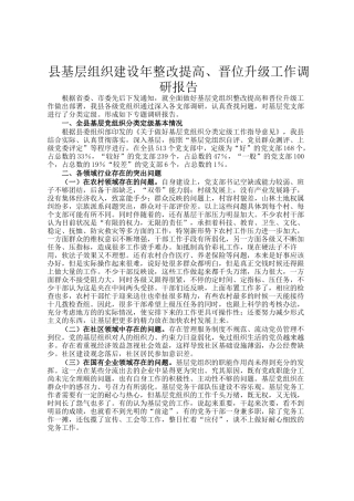 县基层组织建设年整改提高、晋位升级工作调研报告