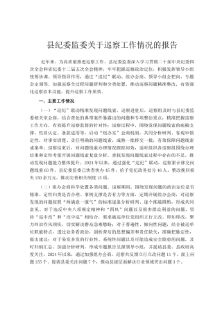 县纪委监委关于巡察工作情况的报告