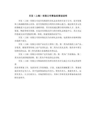 上海有限公司筹备组策划说明