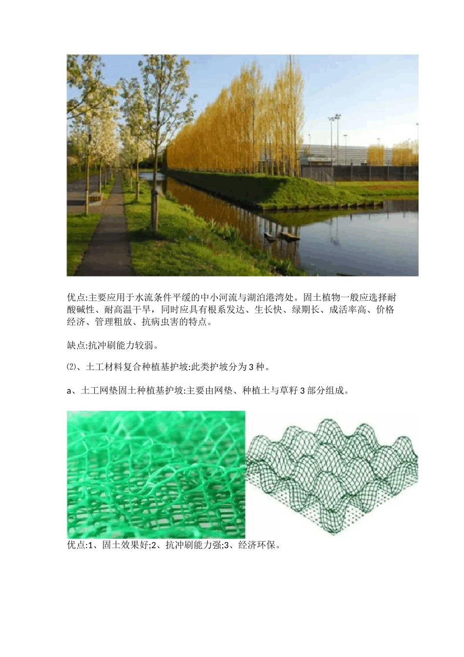 7种常用河道生态护坡形式_第2页