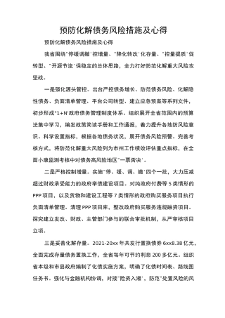 预防化解债务风险措施及心得