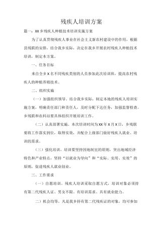 残疾人培训方案
