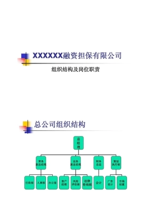 xx融资担保有限公司组织结构及岗位职责