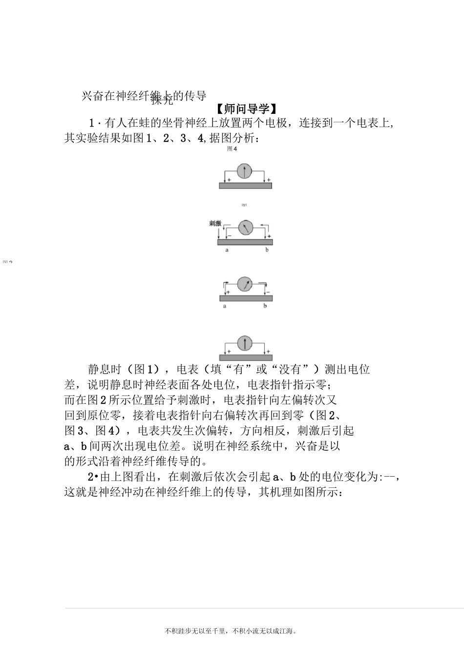 新教材2020-2021学年生物选择性必修1学案：2.3 神经冲动的产生和传导_第2页