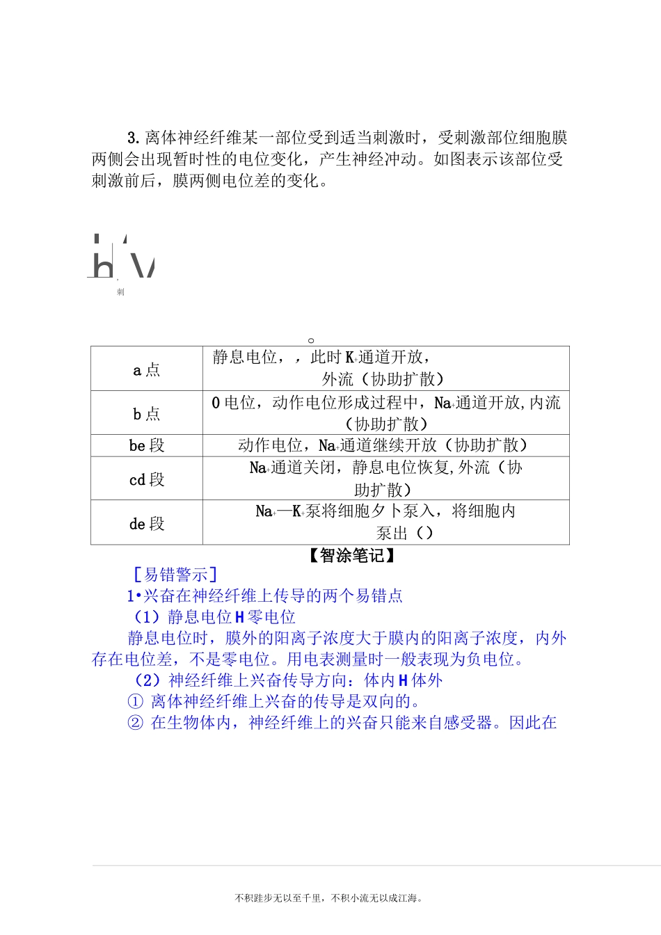 新教材2020-2021学年生物选择性必修1学案：2.3 神经冲动的产生和传导_第3页
