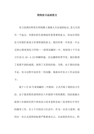 顶岗实习总结范文