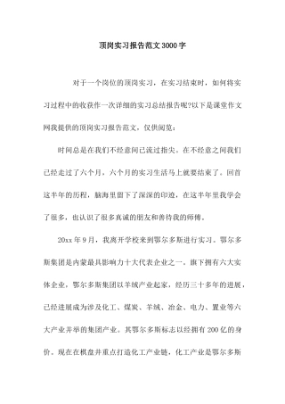 顶岗实习报告范文3000字