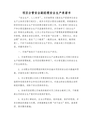 项目分管安全副经理安全生产承诺书