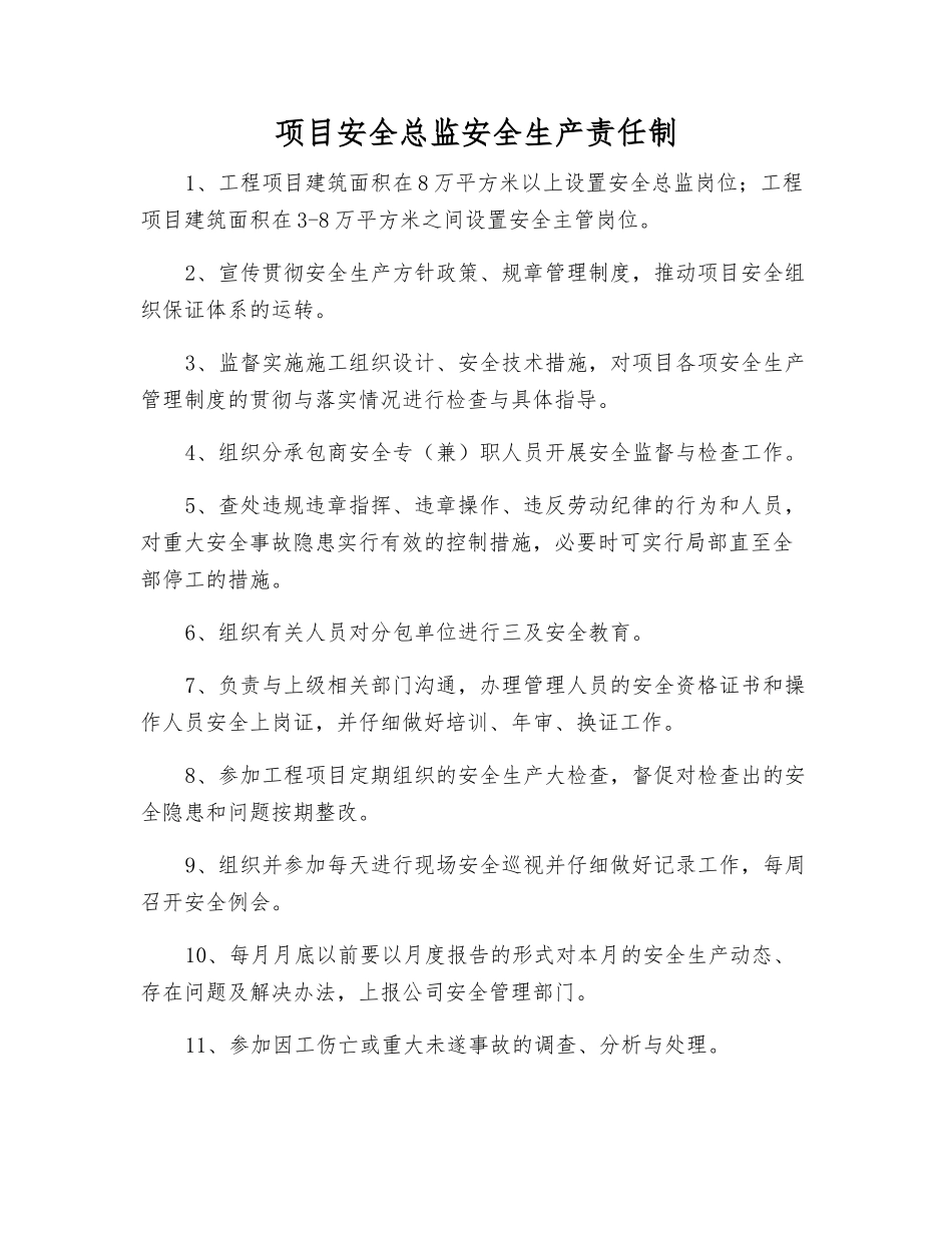 项目安全总监安全生产责任制_第1页