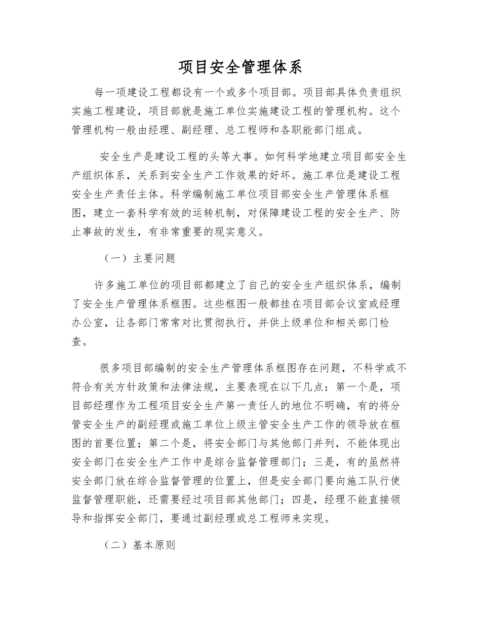 项目安全管理体系_第1页