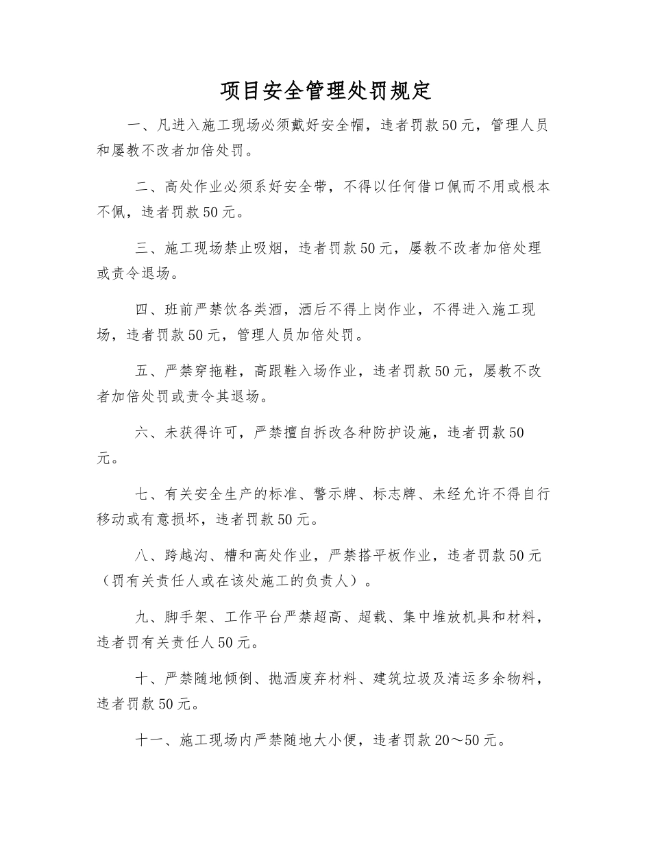 项目安全管理处罚规定_第1页